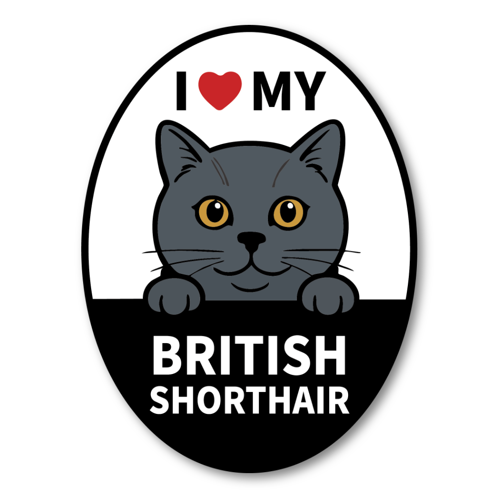 British Shorthair Cat Sticker or Magnet 4 x 5.3 Inch, I Love My Cat Cute Pet Sign for Car, Fridge, Door, Magnet