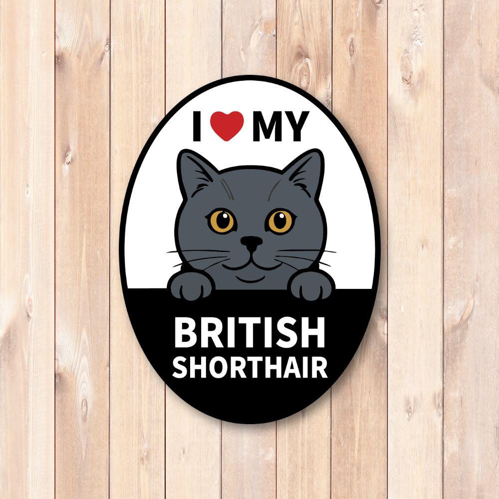 British Shorthair Cat Sticker or Magnet 4 x 5.3 Inch, I Love My Cat Cute Pet Sign for Car, Fridge, Door, Magnet - Image 2